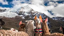 Directorio de hoteles en Cusco
