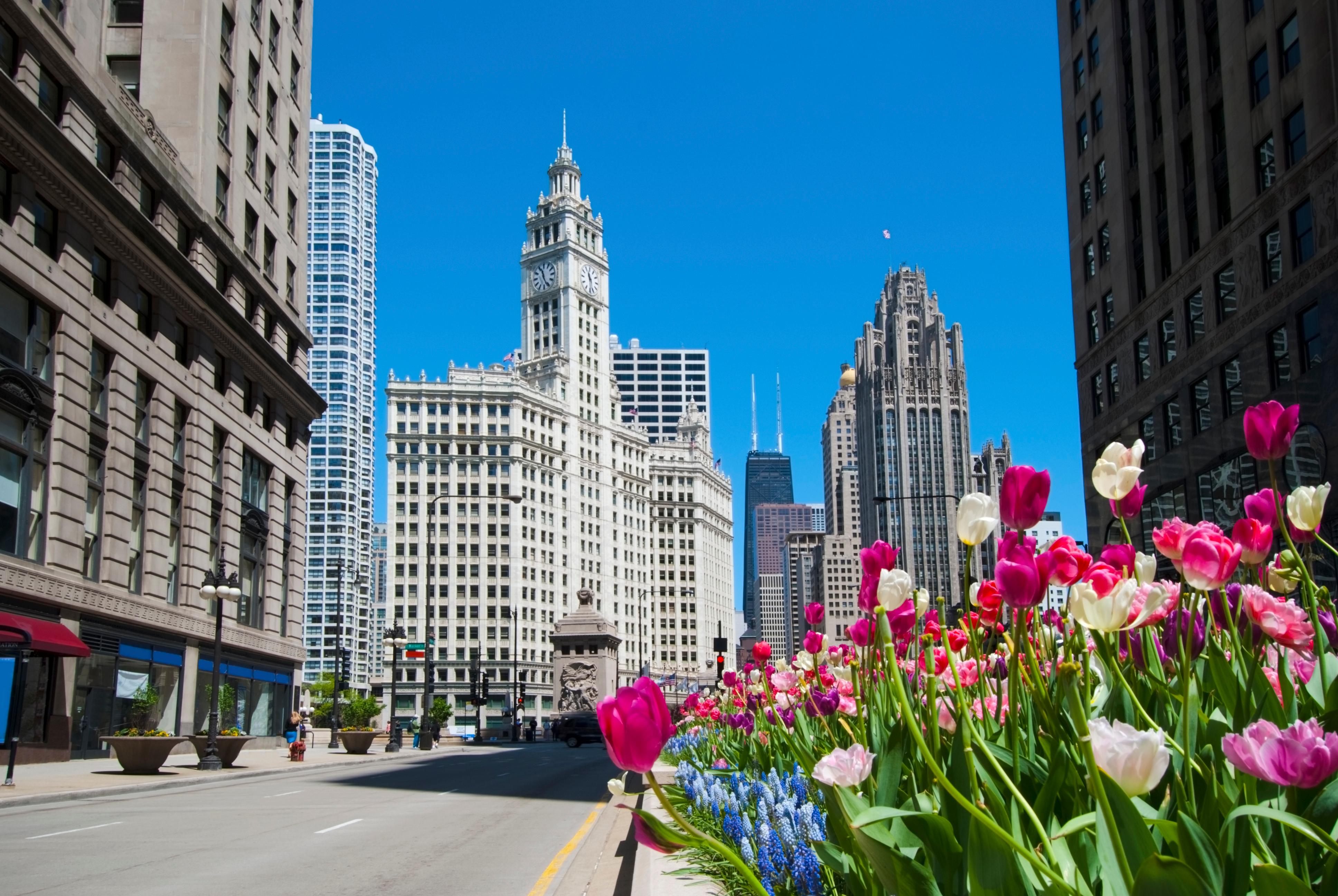 Vivastreet Chicago