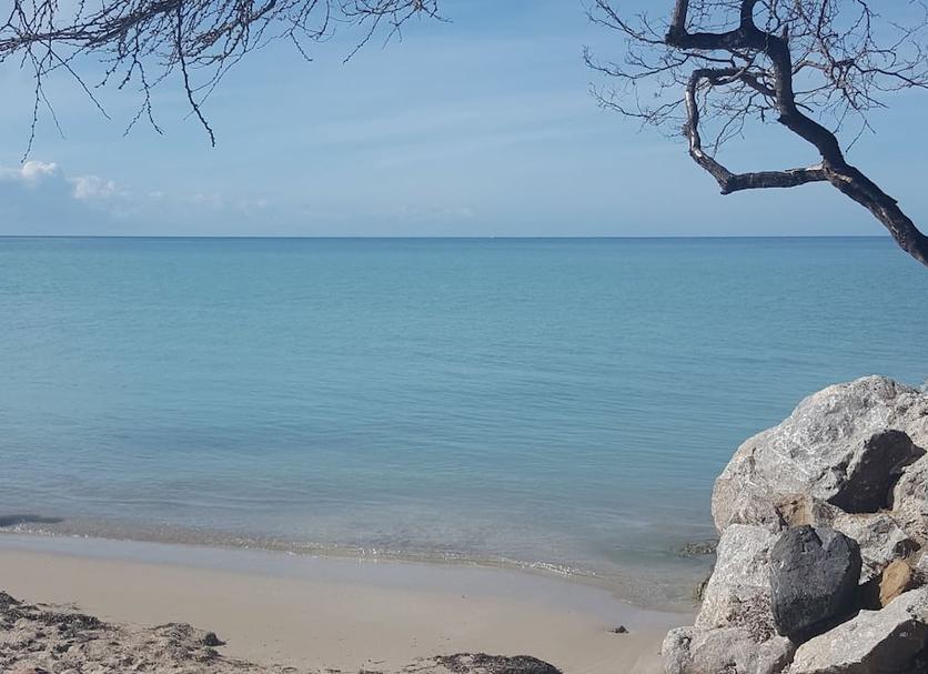 Playa Foto