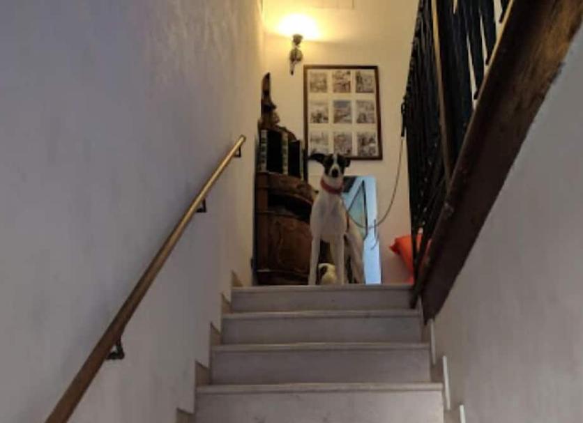 Escaleras Foto
