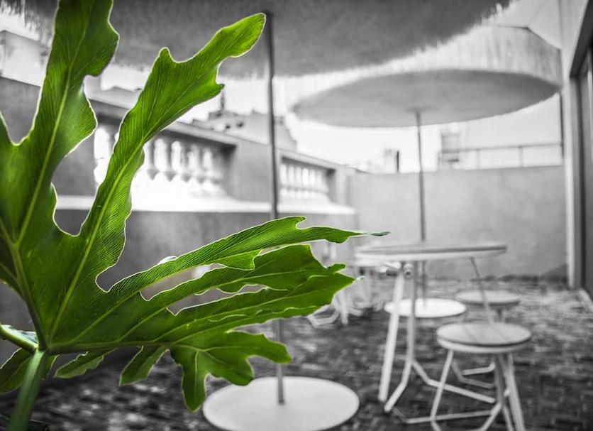 Patio Foto