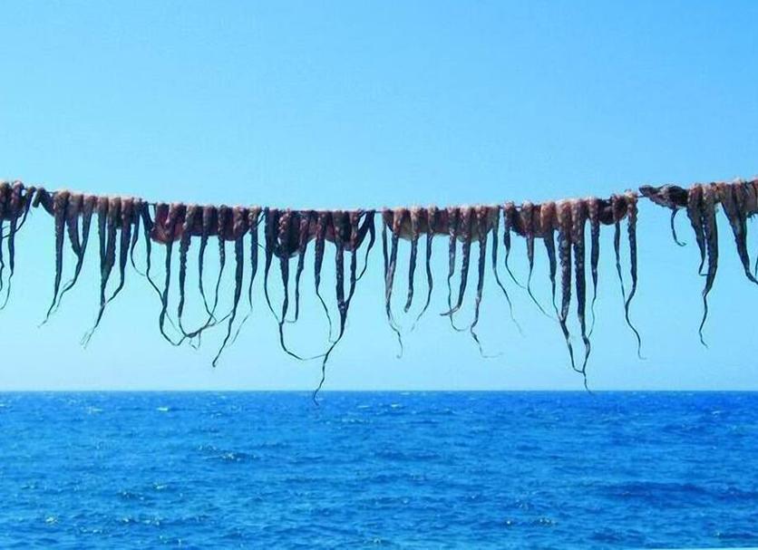 Playa Foto