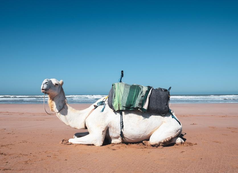 Playa Foto