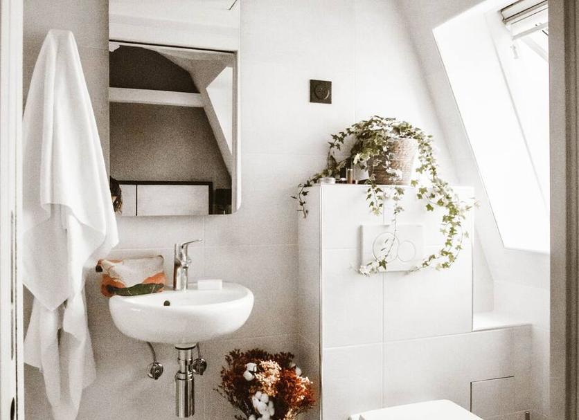 Baño Foto