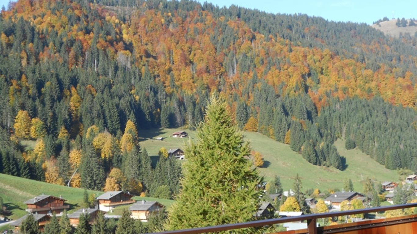 Chalet-Hôtel du Borderan